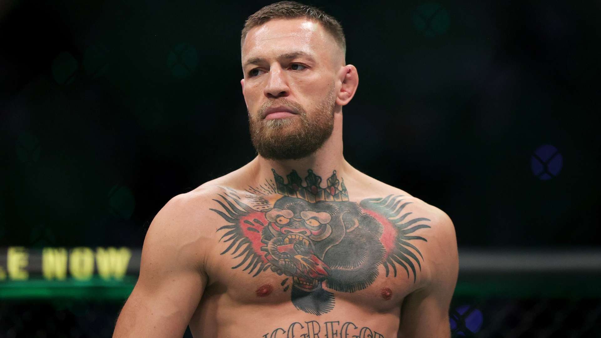 最为引人注 最为引人注